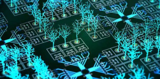 美国能源部专家：量子计算能与经典计算共同应对气候变化
